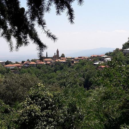 Goga Guesthouse سينغناغي المظهر الخارجي الصورة