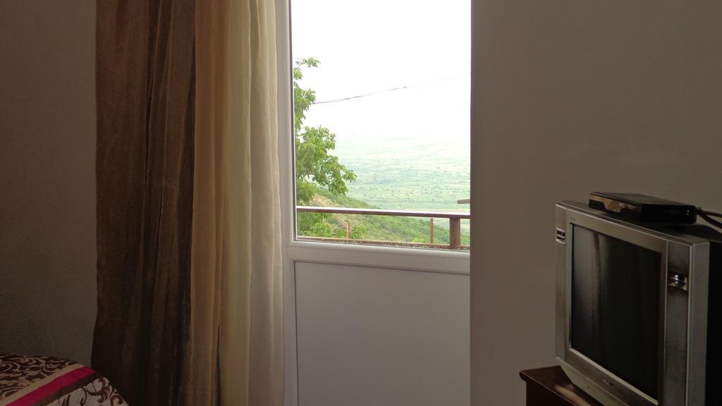 Goga Guesthouse سينغناغي المظهر الخارجي الصورة