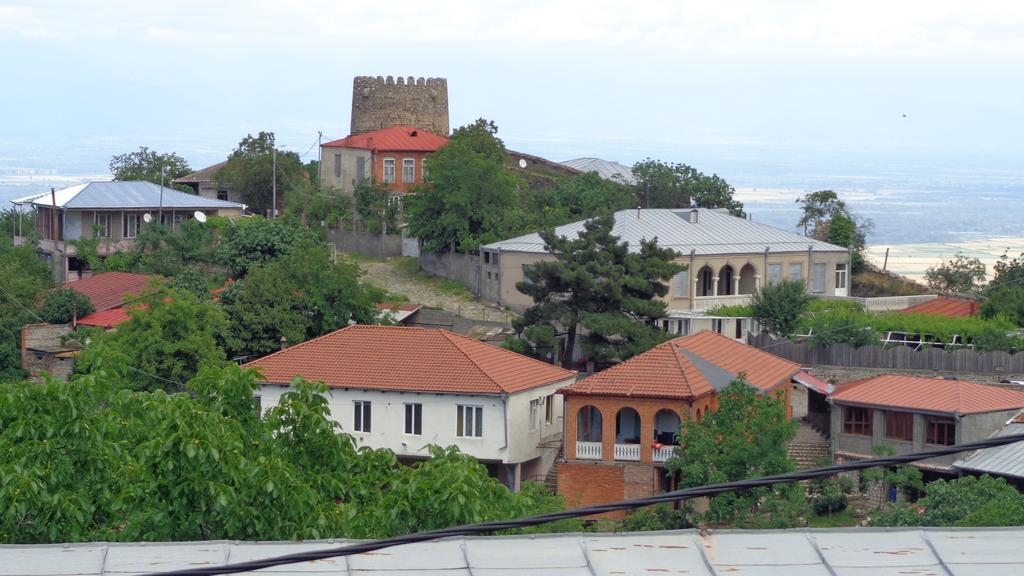 Goga Guesthouse سينغناغي المظهر الخارجي الصورة
