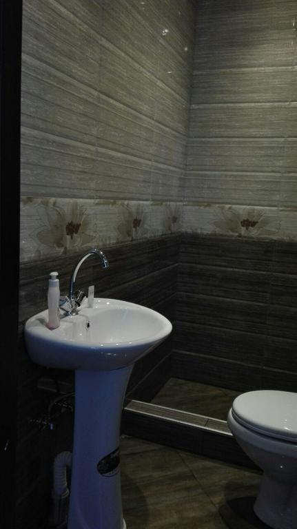 Goga Guesthouse سينغناغي المظهر الخارجي الصورة