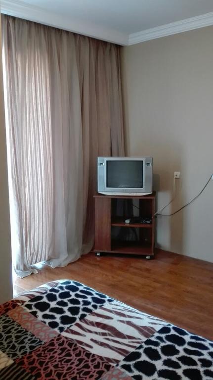Goga Guesthouse سينغناغي المظهر الخارجي الصورة