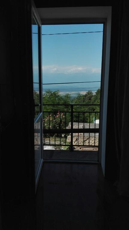 Goga Guesthouse سينغناغي المظهر الخارجي الصورة