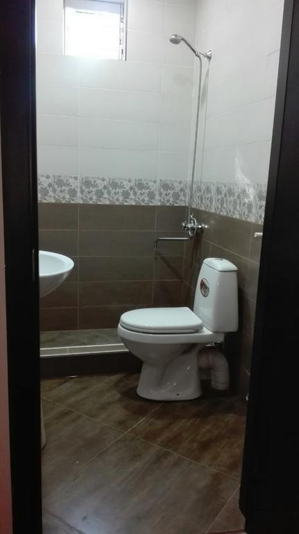 Goga Guesthouse سينغناغي المظهر الخارجي الصورة