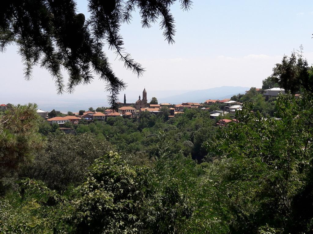 Goga Guesthouse سينغناغي المظهر الخارجي الصورة