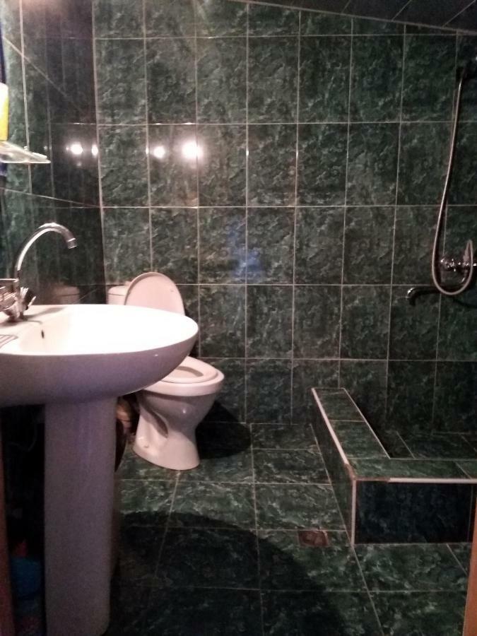 Goga Guesthouse سينغناغي المظهر الخارجي الصورة