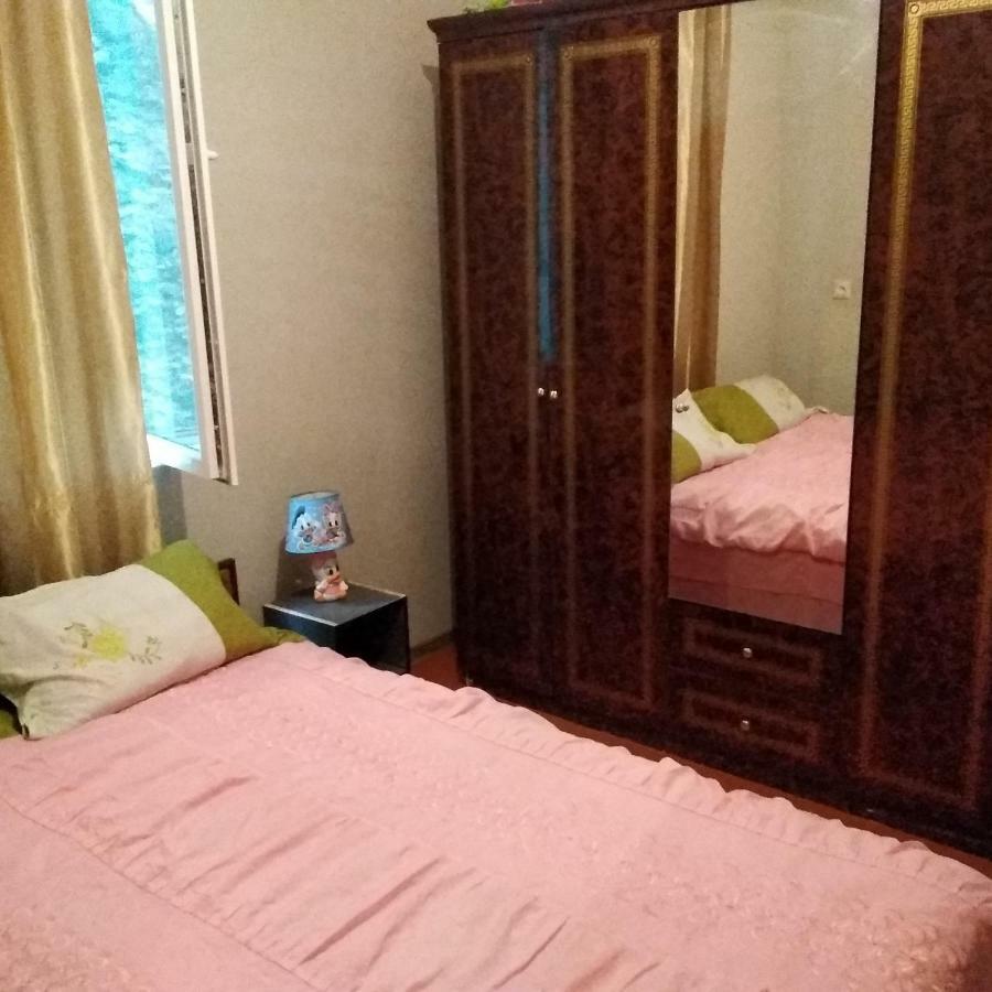 Goga Guesthouse سينغناغي المظهر الخارجي الصورة
