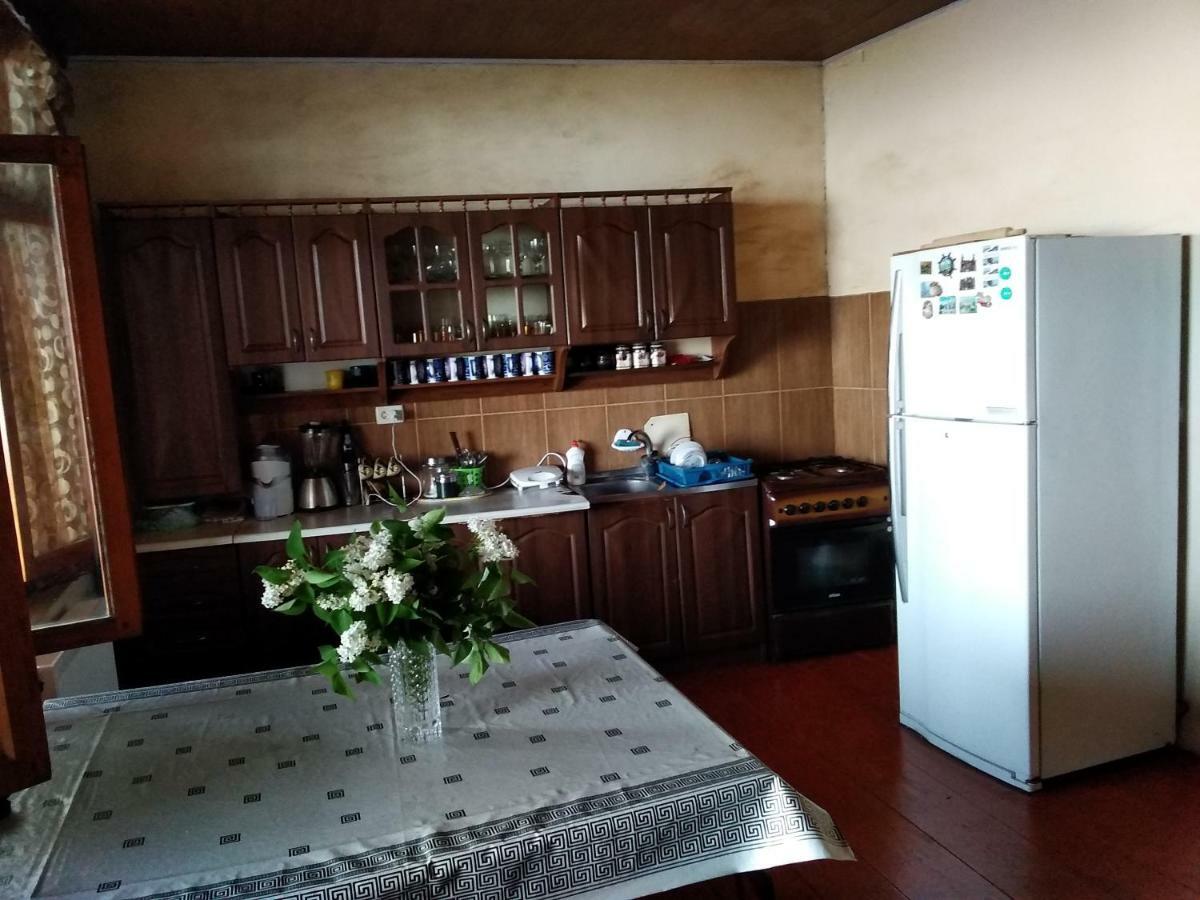 Goga Guesthouse سينغناغي المظهر الخارجي الصورة