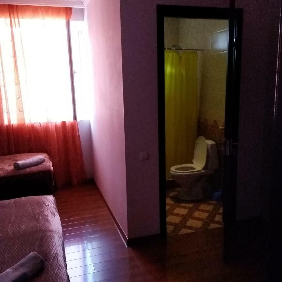 Goga Guesthouse سينغناغي المظهر الخارجي الصورة