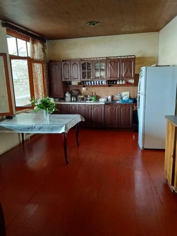 Goga Guesthouse سينغناغي المظهر الخارجي الصورة